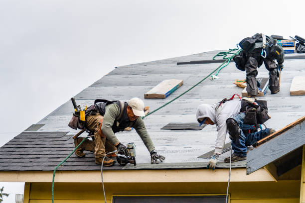 Professional Roof Inspection technician working in Meacham, OR